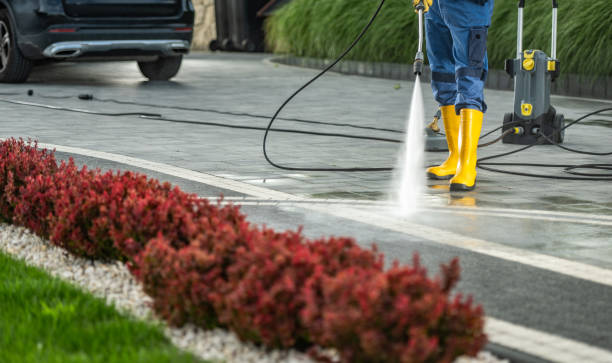 Best Roof Washing  in Colfax, WI